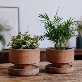 Two-pack Yungyan terracotta planters add vintage charm.