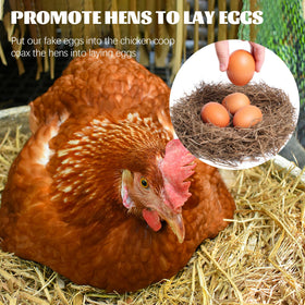 YunKo durable wooden eggs suitable for Easter crafts and seasonal displays.