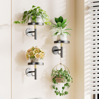 YUOROS three-pack wall plant holder in black, ideal for compact hanging greens