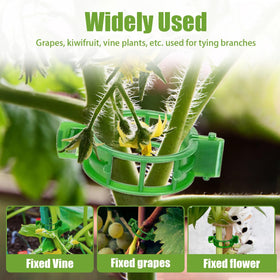 YURUIHKAO secure-stem-support clip holds stems in place as plants grow.