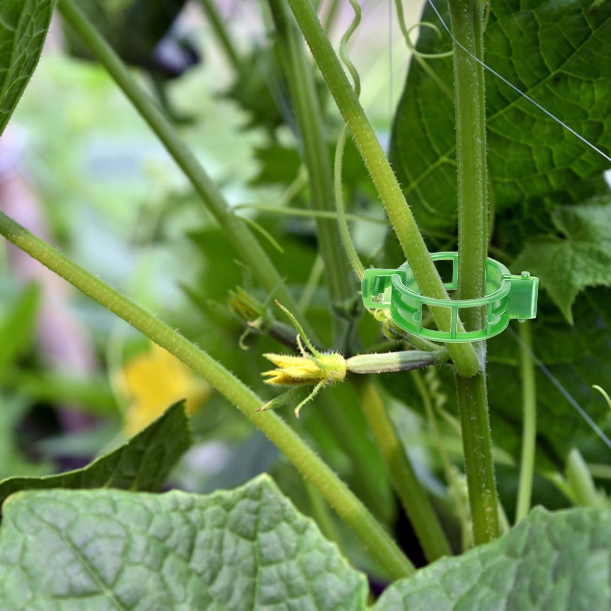 YURUIHKAO weather-resistant clips resist storms for reliable outdoor use.