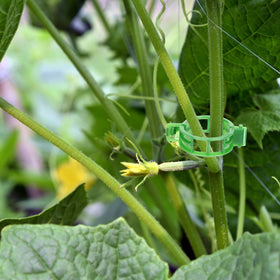 YURUIHKAO weather-resistant clips resist storms for reliable outdoor use.
