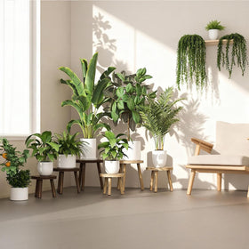 YUZUKYAUY three height options create visually balanced plant layouts.