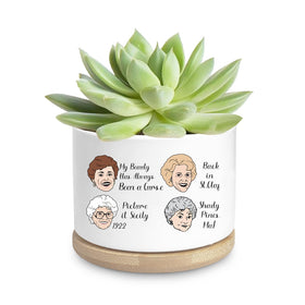 Ywkuiev Golden Girls Planter on a desk with succulent, ideal desk decor.