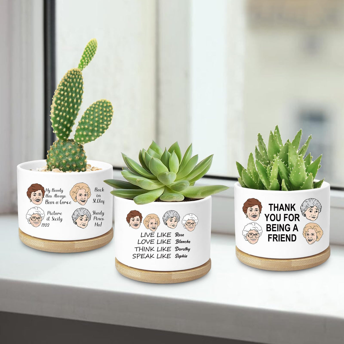 Ywkuiev Gift packaging concept for Golden Girls Planter, ideal for birthdays.