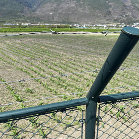 YXJSTO 1320ft length suits large fencing projects efficiently.