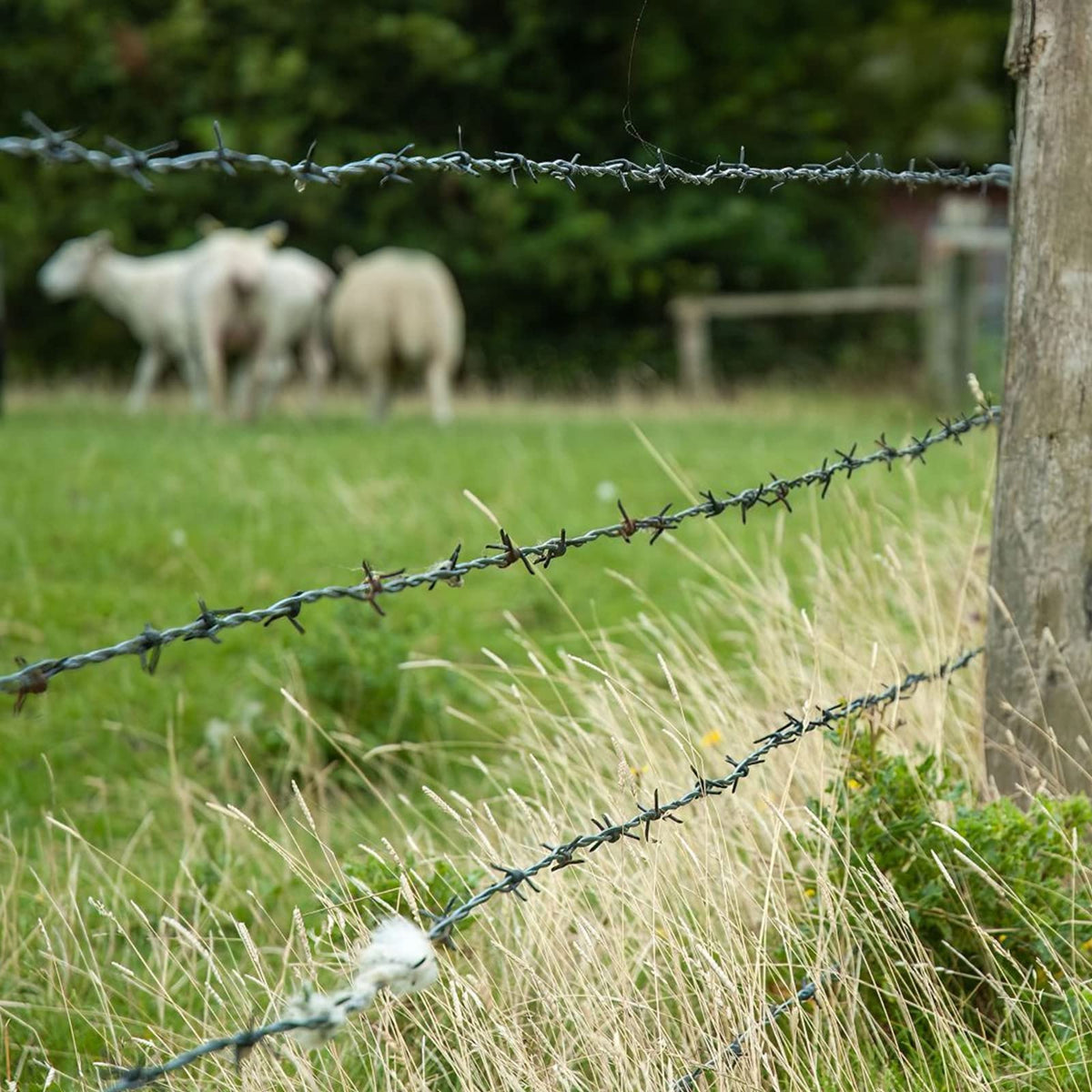YXJSTO barbed wire suits gardens, farms, and bird feeder setups.
