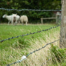 YXJSTO barbed wire suits gardens, farms, and bird feeder setups.