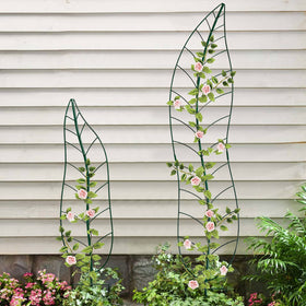 YY-Ladybug set of 2 trellises helps organize vertical growth.
