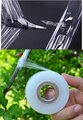 YYaaloa durable elastic grafting tape protects growing grafts through plant movement.