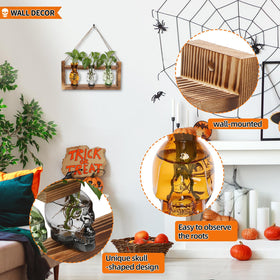 YYHglass colored glass skull terrarium adds visual interest for home hydroponics