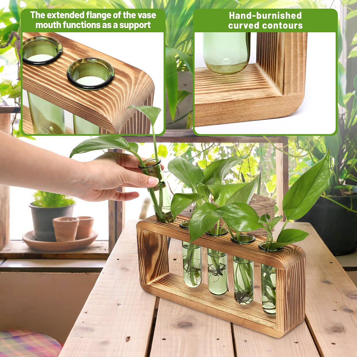 YYHglass colorful tubes offer vibrant display for herbs and small plants