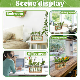 YYHglass desk garden display, stylish and practical for plant lovers