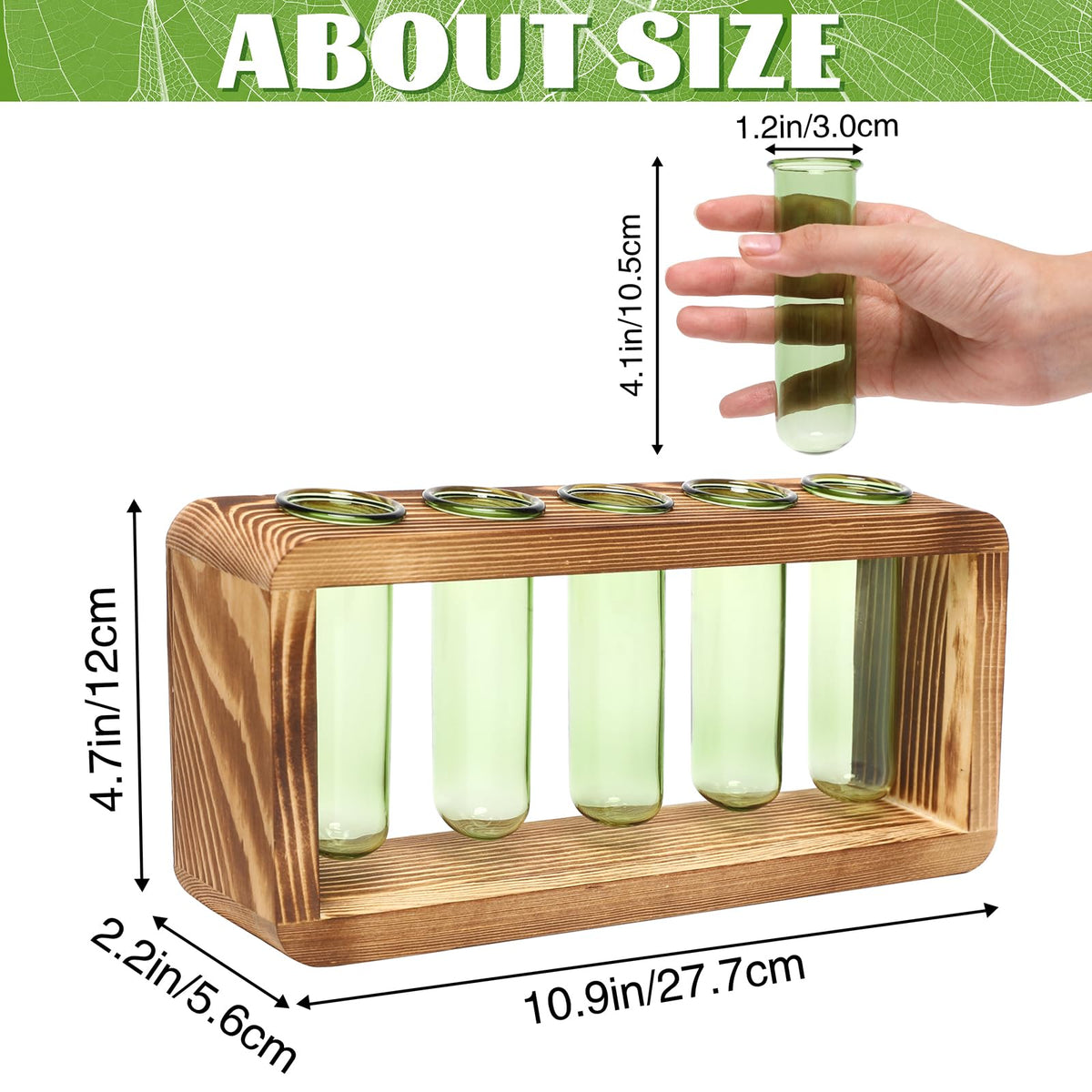 YYHglass glass vase with five tubes ideal for seedling growth observation