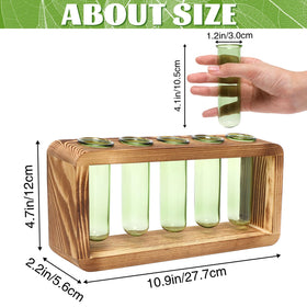 YYHglass glass vase with five tubes ideal for seedling growth observation