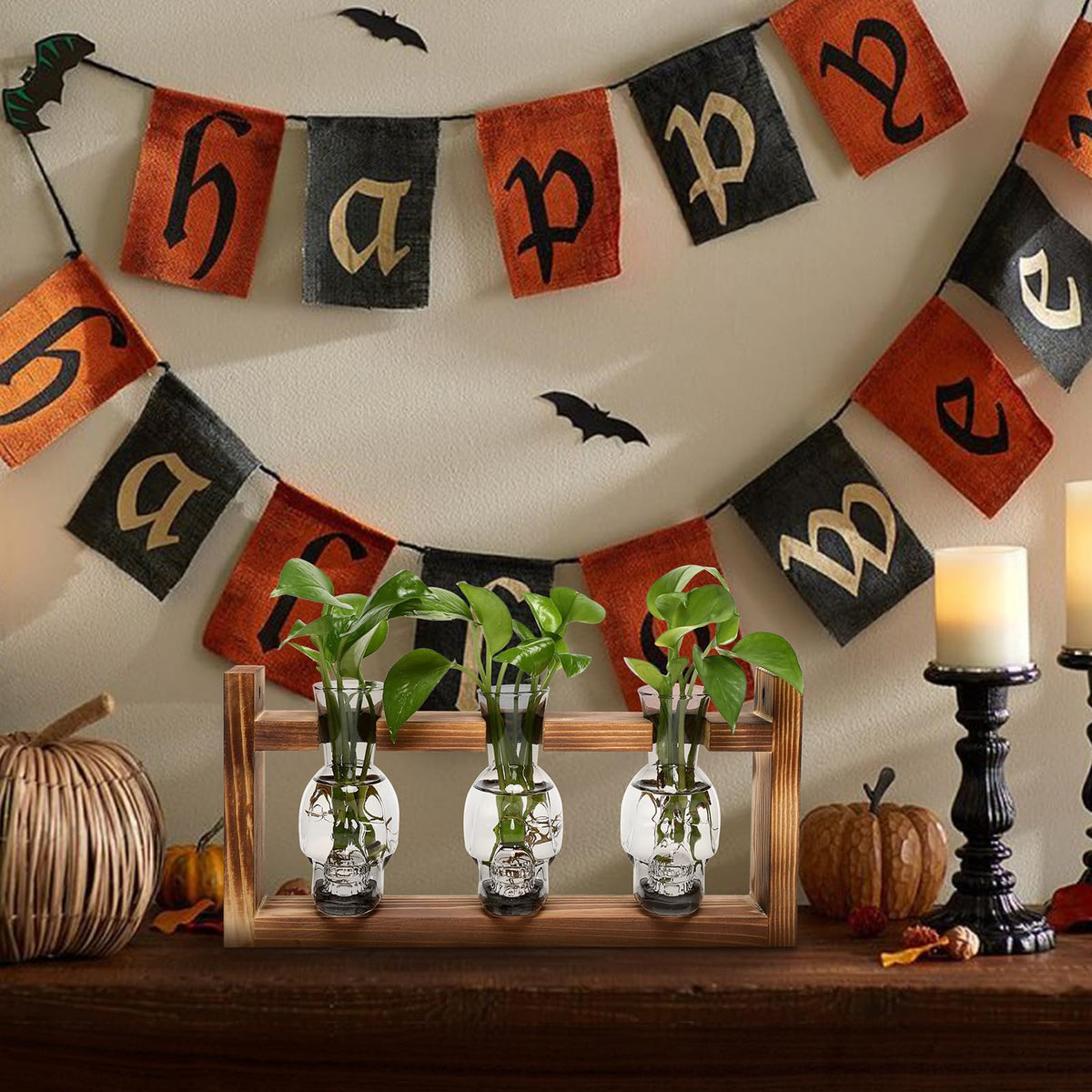 YYHglass Halloween decor skull vase, adds character to bar or man cave.
