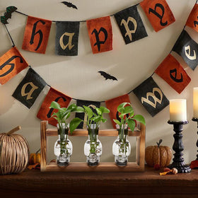 YYHglass Halloween decor skull vase, adds character to bar or man cave.
