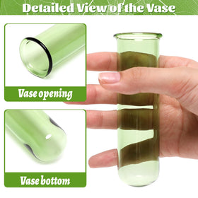 YYHglass natural pine base enhances home decor while supporting plant propagation