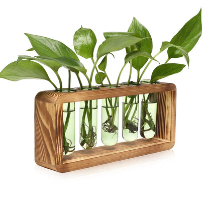 YYHglass propagation station with wooden stand and five tubes for fresh herb gardens