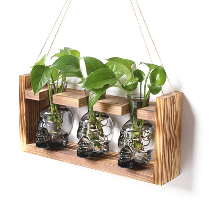 YYHglass skull propagation vase with wooden stand, ideal for tabletop plant displays.