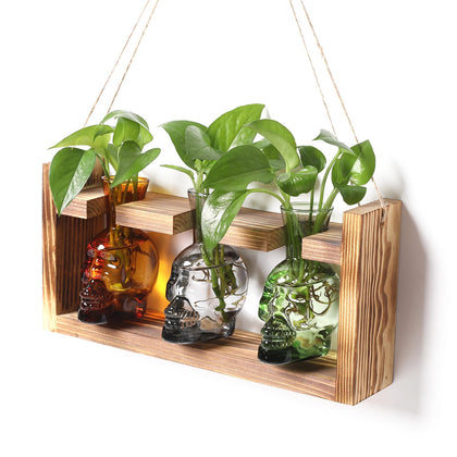 YYHglass skull propagation vase in vibrant color for stylish plant propagation and display