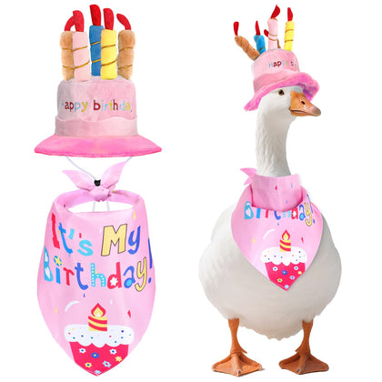 Yymobt Happy Birthday cake hat on porch goose adds festive outdoor decor