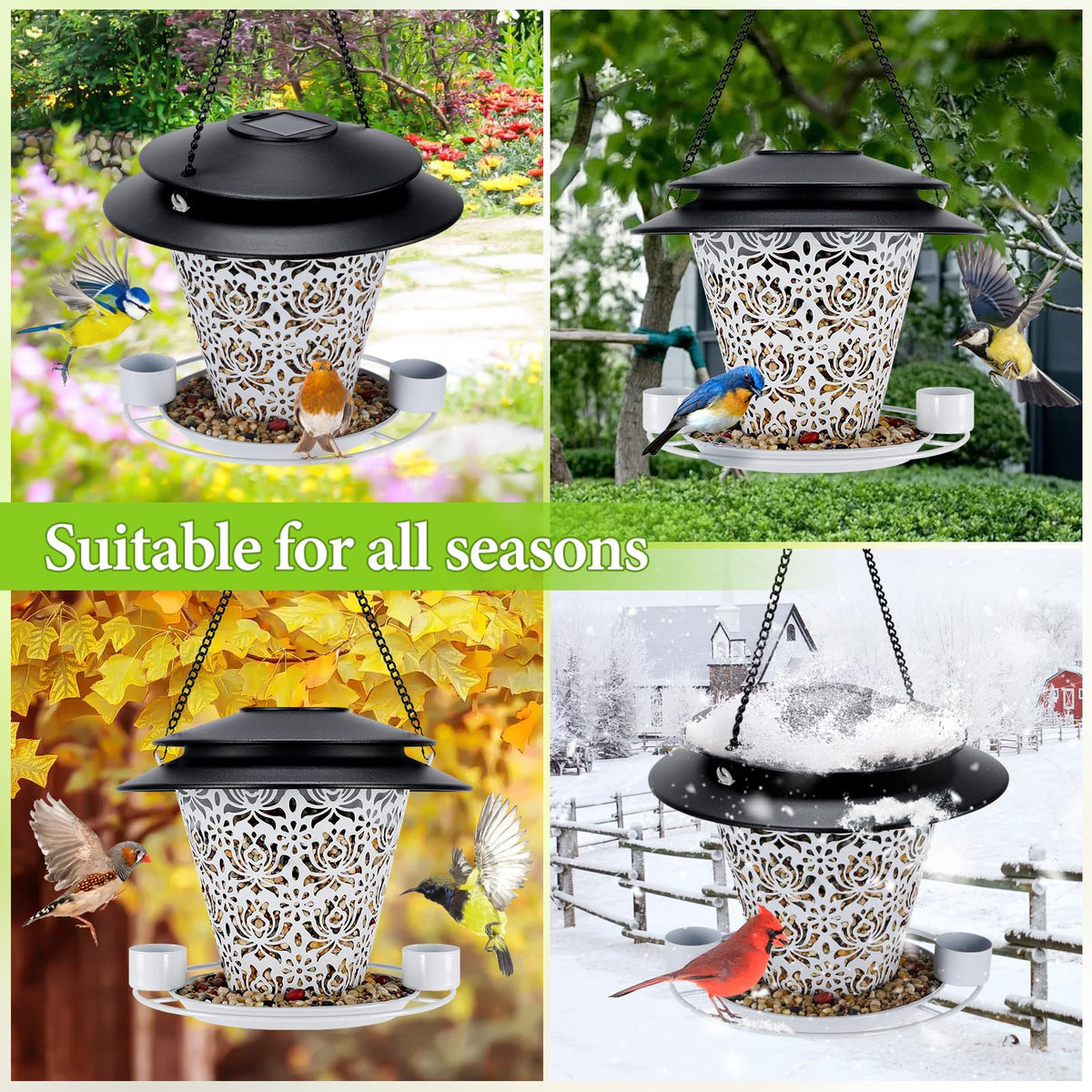 YYWMWM Attracts various backyard birds with multiple seed options for diverse visits.