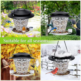 YYWMWM Attracts various backyard birds with multiple seed options for diverse visits.