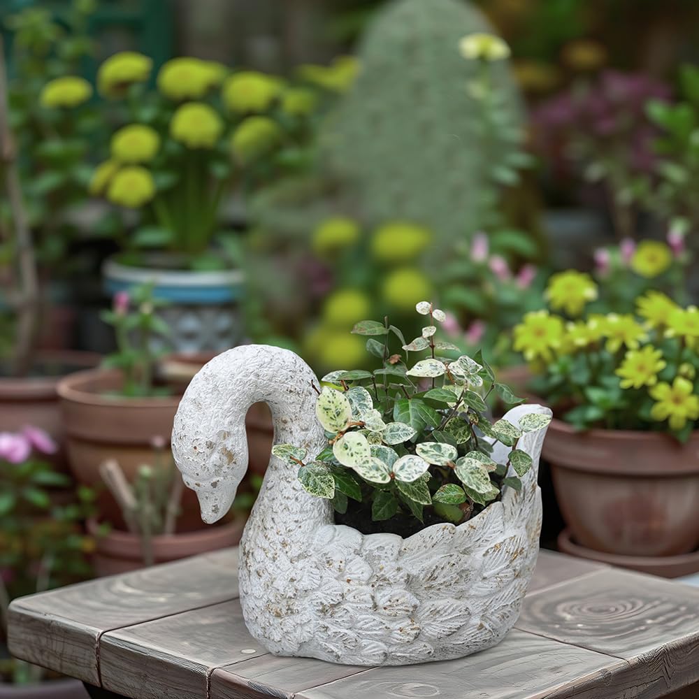 Z² BellaDecor Swan Planter side view highlights graceful curves