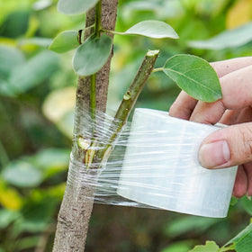 ZALALOVA color label cards help identify plants and traits