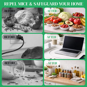 Zapguru Pest Repellent Pouches provide up to 30 days of protection