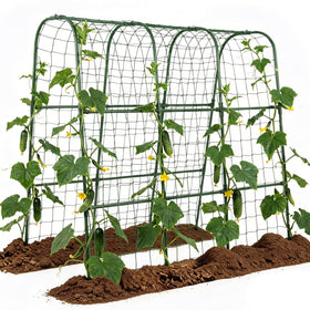 ZATRO cucumber trellis arch side view shows sturdy support for climbing plants