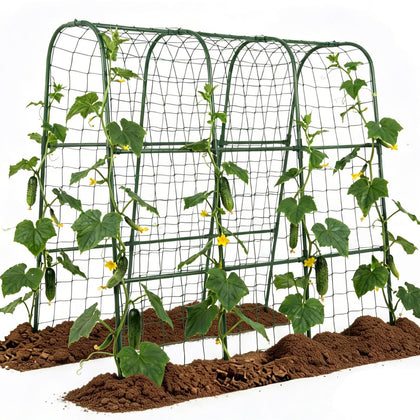 ZATRO cucumber trellis arch side view shows sturdy support for climbing plants