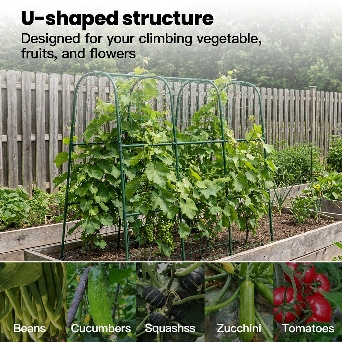 ZATRO trellis in backyard saves space with vertical gardening