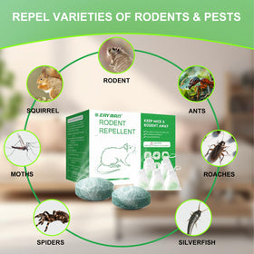 Place ZAYMAN repellent in kitchens and storage areas to deter rodents.