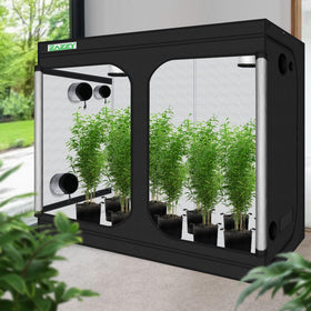 Zazzy Grow Tent interior with 600D Mylar reflects light efficiently