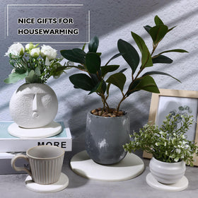ZBHANSHUIS plant saucer mat pairs with pots to manage moisture and decor.