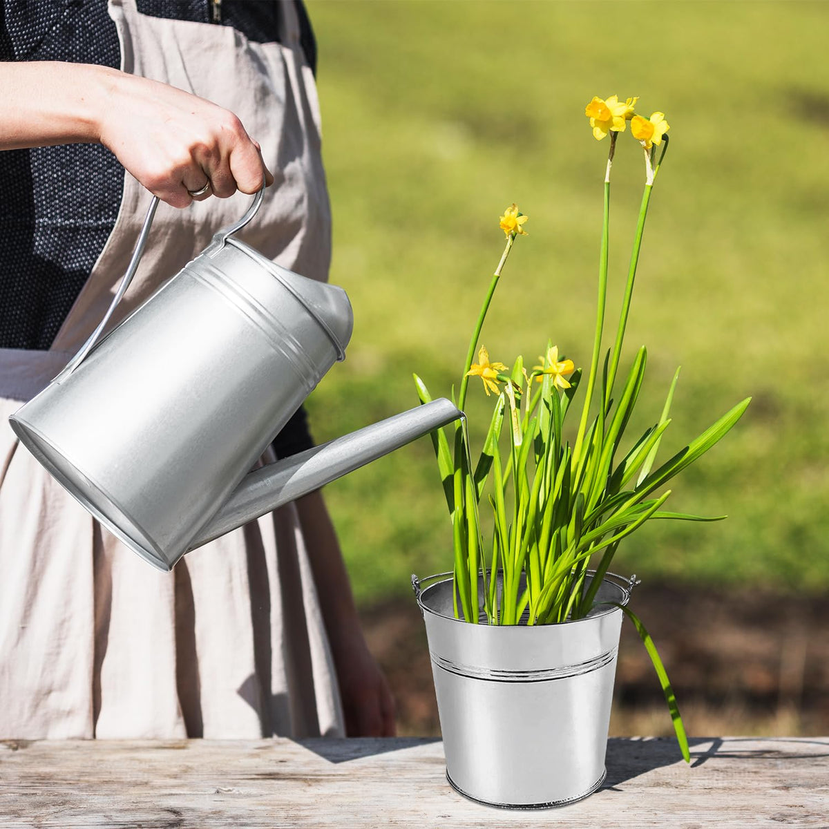 ZEDEV decorative garden buckets used as rustic planters and decor