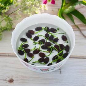 ZEshops lotus seeds ideal for beginner indoor water gardens