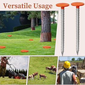 Versatile Zealor markers ideal for landscape and utility marking