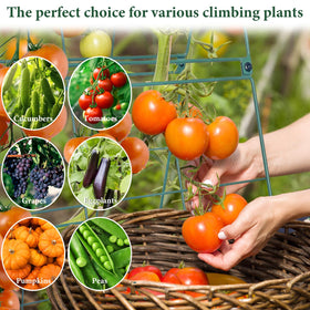 ZeanSciulpt Cucumber Trellis includes 20 garden ties for tidy vine management