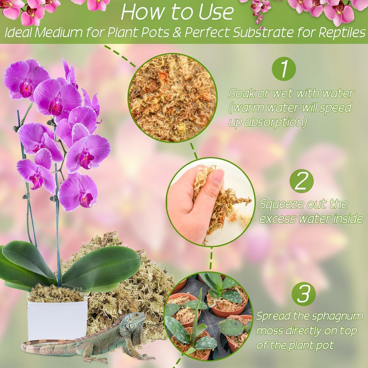 ZeeDix orchid moss long-fiber texture ideal for orchid and carnivorous plant media