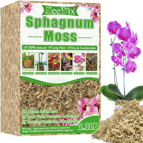 ZeeDix sphagnum moss brick demonstrates water absorption for easy hydration