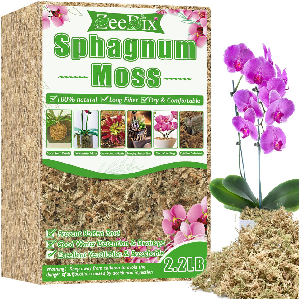 ZeeDix sphagnum moss brick demonstrates water absorption for easy hydration