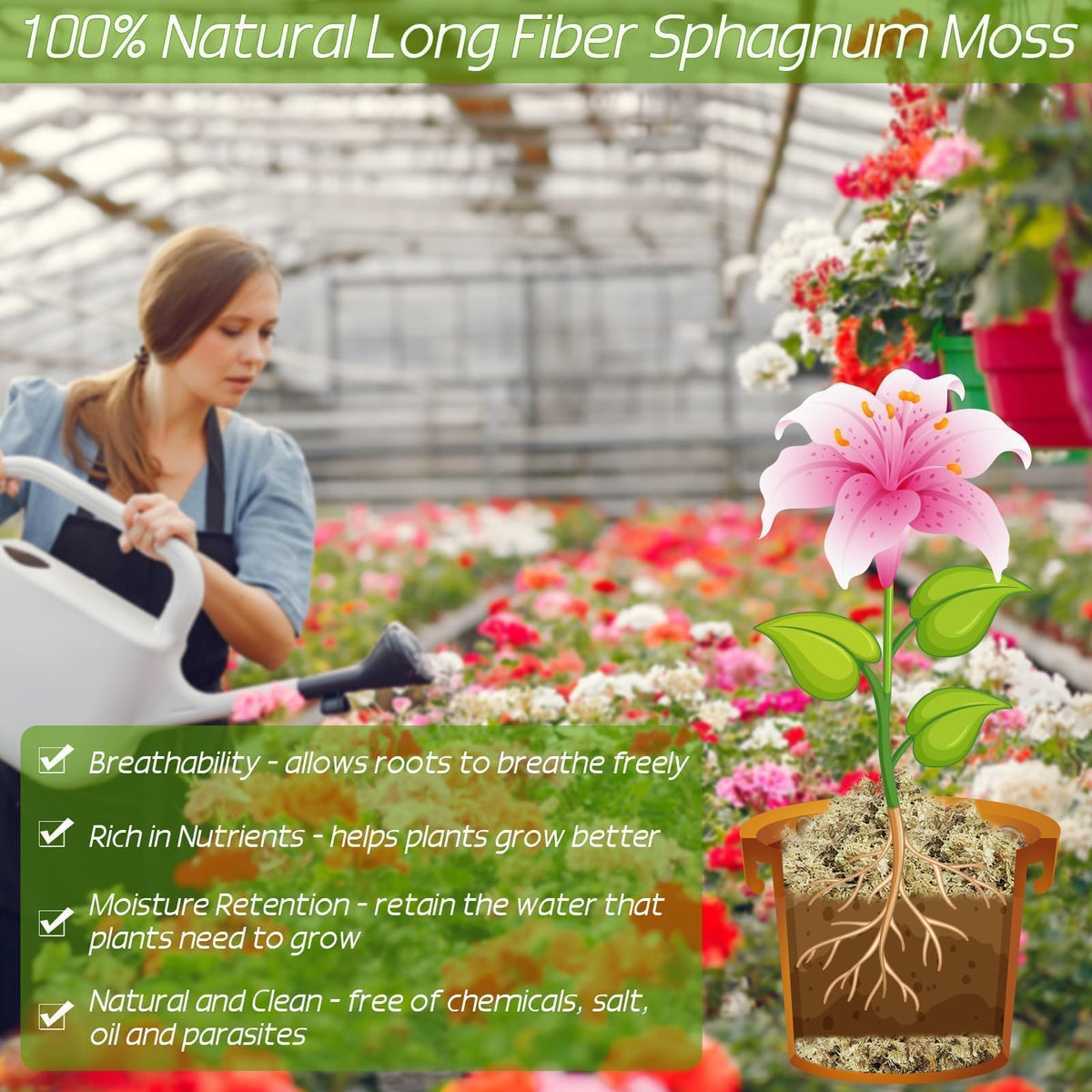 ZeeDix sphagnum moss substrate mix enhances moisture retention for houseplants