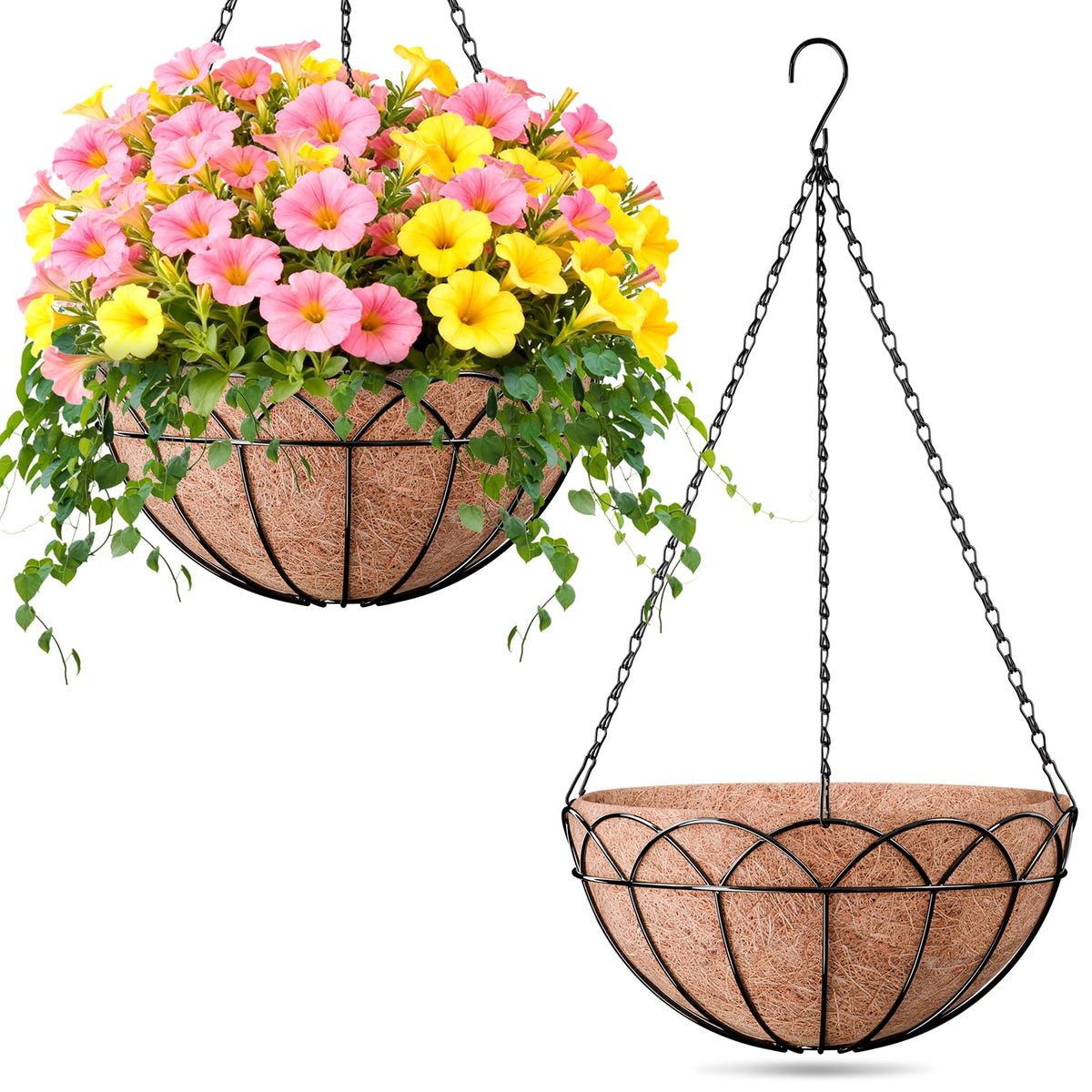 ZeeDix 14-inch metal hanging basket with coco liner for balanced moisture and vibrant blooms.