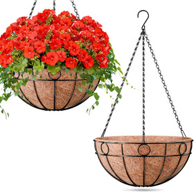 ZeeDix 16-inch hanging basket setup for a lush patio display
