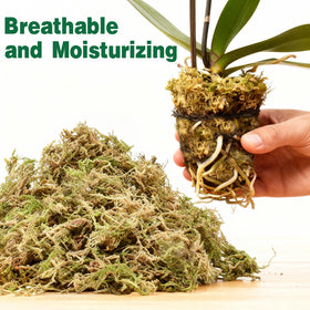 Zeedix 20L moss brick after soaking expands for orchid potting