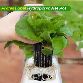 Zeedix 2inch net pot 50-pack ideal for seed starting.
