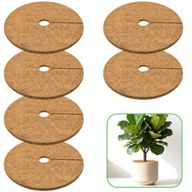 ZeeDix coconut fiber mulch ring surrounds a pot for even moisture around roots